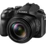 Panasonic Lumix DMC-FZ2500 24-480mm Fox