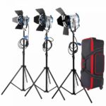 Pro 650w Fresnel Tungsten Spotlight Kit